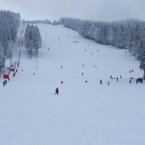 Pârtia Vârtop 2 - pe ea functționează cea mai mare școală de schi din Arieșeni